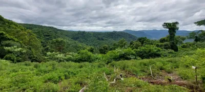 Terreno / Lote / Condomínio à venda, 20000m² no , Linha Nova - Foto 2