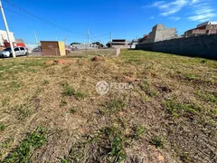 Terreno / Lote / Condomínio à venda, 315m² no Engenho Velho, Nova Odessa - Foto 8
