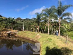 Fazenda / Sítio / Chácara com 3 Quartos à venda, 170m² no Area Rural de Amparo, Amparo - Foto 17