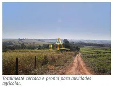Fazenda / Sítio / Chácara à venda, 800m² no LIMEIRA , Limeira - Foto 9