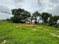 Fazenda / Sítio / Chácara com 4 Quartos à venda, 4259200m² no Zona Rural, Bom Jardim de Goiás - Foto 29