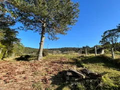 Fazenda / Sítio / Chácara com 5 Quartos à venda, 1200m² no Centro, Atibaia - Foto 6