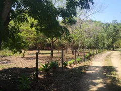 Fazenda / Sítio / Chácara com 3 Quartos à venda, 24200m² no Recreio Floresta, Jaguariúna - Foto 22