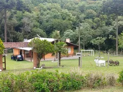 Fazenda / Sítio / Chácara com 4 Quartos à venda, 30100m² no Vila Seca, Caxias do Sul - Foto 2