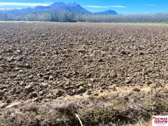 Fazenda / Sítio / Chácara com 1 Quarto à venda, 45000m² no , Tijucas - Foto 3