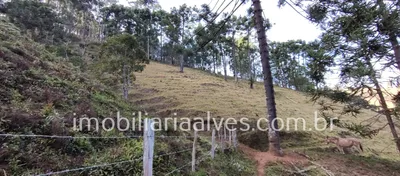 Terreno / Lote / Condomínio à venda, 37000m² no Zona Rural, Virgínia - Foto 18