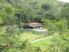 Fazenda / Sítio / Chácara com 4 Quartos à venda, 183000m² no Zona Rural, Rio Bonito - Foto 4