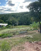 Fazenda / Sítio / Chácara com 2 Quartos à venda, 100m² no Chacara Sao Joao, Itu - Foto 4