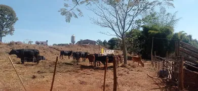 Fazenda / Sítio / Chácara à venda, 4m² no Sibipiruna, Araguari - Foto 3