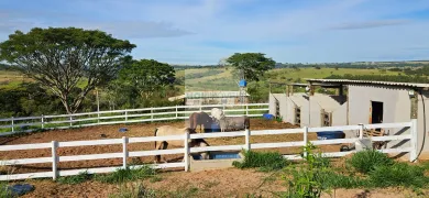 Fazenda / Sítio / Chácara com 1 Quarto à venda, 5000m² no Nogueira, Avaí - Foto 23