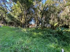 Terreno / Lote / Condomínio à venda, 802m² no Mato Queimado, Gramado - Foto 5