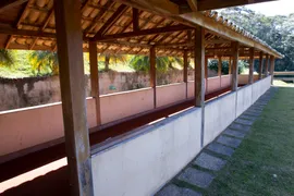 Fazenda / Sítio / Chácara com 10 Quartos à venda, 21000000m² no Zona Rural, Castelo - Foto 38