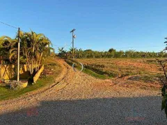 Fazenda / Sítio / Chácara com 5 Quartos à venda, 200m² no Reforma Agraria, Valinhos - Foto 6