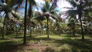 Fazenda / Sítio / Chácara à venda, 50000m² no Zona Rural, Conde - Foto 3