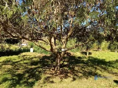 Terreno / Lote / Condomínio à venda, 500m² no Taruacu, São João Nepomuceno - Foto 11