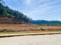 Terreno / Lote / Condomínio à venda, 260m² no Cedro Alto, Brusque - Foto 13