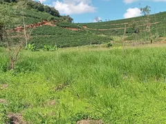 Fazenda / Sítio / Chácara com 1 Quarto à venda, 100m² no , Fervedouro - Foto 2