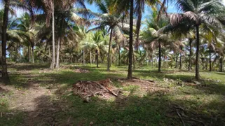 Fazenda / Sítio / Chácara à venda, 50000m² no Zona Rural, Conde - Foto 4