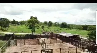 Fazenda / Sítio / Chácara à venda no Centro, Curvelo - Foto 7