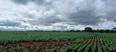 Fazenda / Sítio / Chácara com 2 Quartos à venda, 420000m² no Paranoá, Brasília - Foto 5