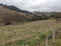 Fazenda / Sítio / Chácara com 6 Quartos à venda, 630000m² no , Cristina - Foto 4