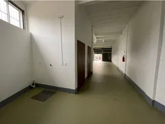 Loja / Salão / Ponto Comercial para alugar, 159m² no Boa Saúde, Novo Hamburgo - Foto 12