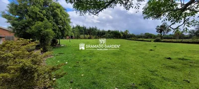 Fazenda / Sítio / Chácara à venda, 60260m² no Vila Jardim, Gramado - Foto 38