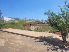 Terreno / Lote / Condomínio à venda, 250m² no Reserva Centenaria, Santa Bárbara D'Oeste - Foto 2