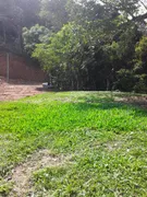 Fazenda / Sítio / Chácara à venda, 4000m² no Limeira, Brusque - Foto 26