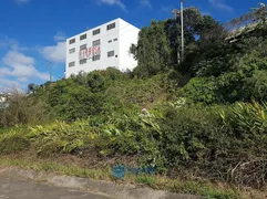 Terreno / Lote / Condomínio à venda, 748m² no Pioneiro, Caxias do Sul - Foto 17