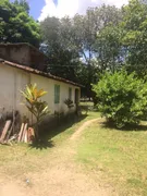 Fazenda / Sítio / Chácara com 3 Quartos à venda, 50500m² no Guabiraba, Recife - Foto 7