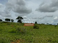 Fazenda / Sítio / Chácara com 4 Quartos à venda, 4259200m² no Zona Rural, Bom Jardim de Goiás - Foto 19