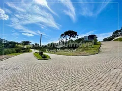 Terreno / Lote / Condomínio à venda, 2531m² no São Ciro, Caxias do Sul - Foto 8