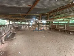 Fazenda / Sítio / Chácara com 3 Quartos à venda, 450m² no , Tamarana - Foto 6