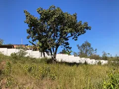 Terreno / Lote / Condomínio à venda, 600m² no Pedra Branca, São Joaquim de Bicas - Foto 5