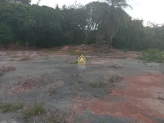 Terreno / Lote Comercial à venda, 10187m² no Jardim Colonial, Ribeirão das Neves - Foto 4