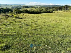 Fazenda / Sítio / Chácara à venda, 80m² no Vila Seca, Caxias do Sul - Foto 30