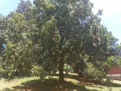 Fazenda / Sítio / Chácara com 4 Quartos à venda, 900m² no Portal Sao Marcelo, Bragança Paulista - Foto 51