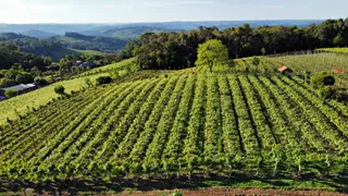 Fazenda / Sítio / Chácara à venda, 24000m² no Zona Rural, Monte Belo do Sul - Foto 7