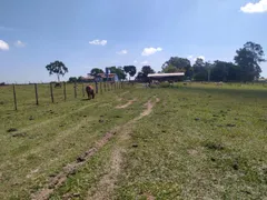 Fazenda / Sítio / Chácara com 4 Quartos à venda, 435600m² no Zona Rural, Cássia dos Coqueiros - Foto 12