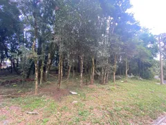 Terreno / Lote / Condomínio à venda, 802m² no Floresta, Gramado - Foto 19