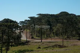 Casa com 4 Quartos à venda, 447m² no Centro, Canela - Foto 14