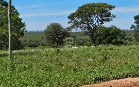 Fazenda / Sítio / Chácara com 3 Quartos à venda, 5200000m² no Zona Rural, Buritizeiro - Foto 24