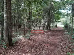 Fazenda / Sítio / Chácara com 4 Quartos à venda, 242000m² no Zona Rural, Bonfinópolis - Foto 8