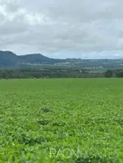 Fazenda / Sítio / Chácara com 30 Quartos à venda, 5620000m² no Zona Rural, Jaraguá - Foto 1