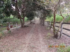 Fazenda / Sítio / Chácara com 7 Quartos à venda, 354000m² no Centro, Goianá - Foto 21