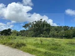 Terreno / Lote / Condomínio à venda, 462m² no Ribeirão da Ilha, Florianópolis - Foto 8