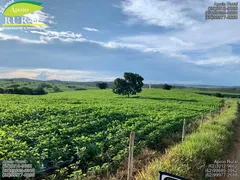 Fazenda / Sítio / Chácara com 5 Quartos à venda, 14907200m² no Zona Rural, Santa Cruz de Goiás - Foto 19