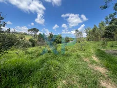 Fazenda / Sítio / Chácara com 2 Quartos à venda, 60m² no Zona Rural, São Sebastião do Oeste - Foto 30