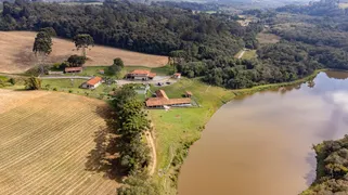 Fazenda / Sítio / Chácara com 4 Quartos à venda, 348800m² no Area Rural de Fazenda Rio Grande, Fazenda Rio Grande - Foto 8